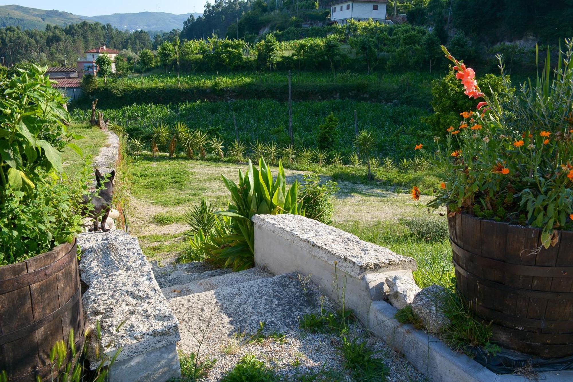 Quinta Do Bairro Villa Vieira do Minho Exterior photo